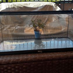 Turtle Aquarium | Used 