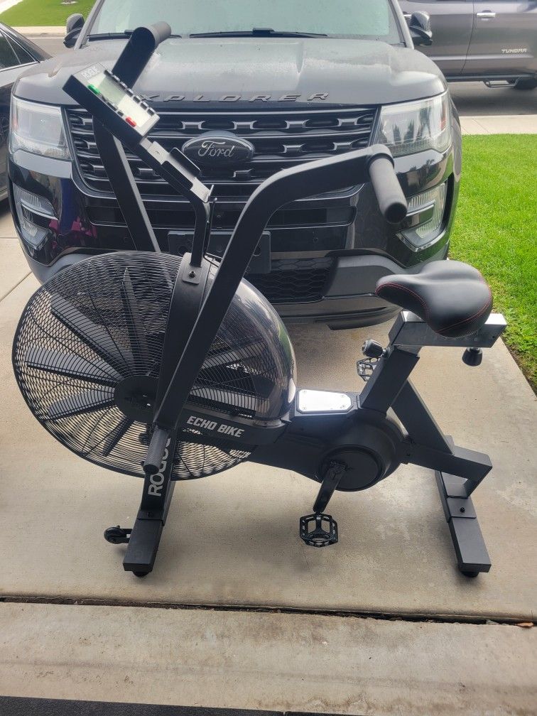 Rogue Echo Bike