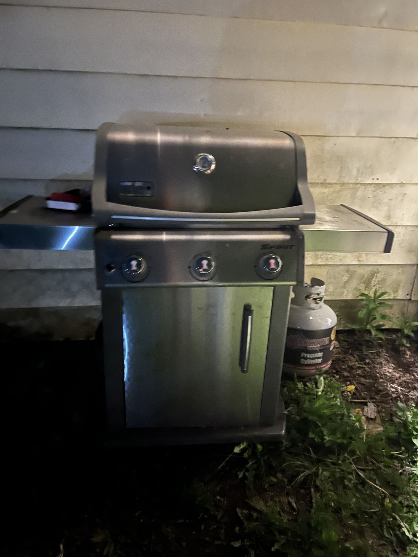Weber Grill