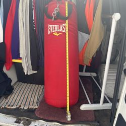 Everlast Punching Bag 80lbs 
