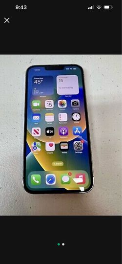 iPhone 13 Pro Max