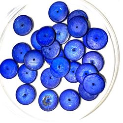 Blue Bone Bead Lot