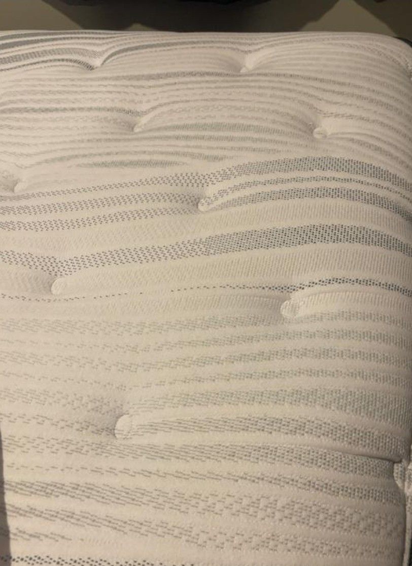 New Beautyrest Cypress Bay Plush Queen