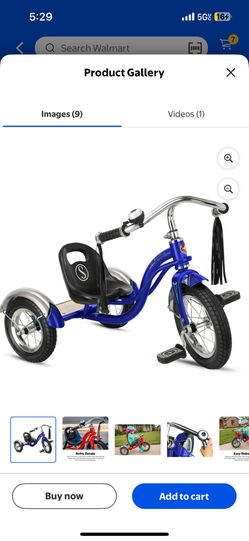 Kids Schwinn Roadster Tricycle