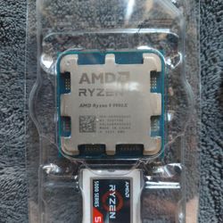 AMD RYZEN 9 9900X 