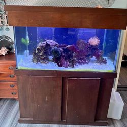 125 Gallon Salt Water Tank With Stand 