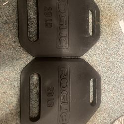 Condor plate carrier with 20lb weights x2 40lbs total