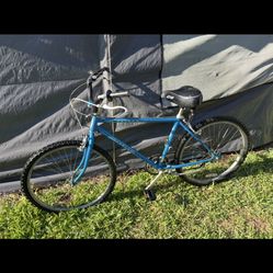 Vintage Schwinn Bicycle Front Tire Has A Slow Leak