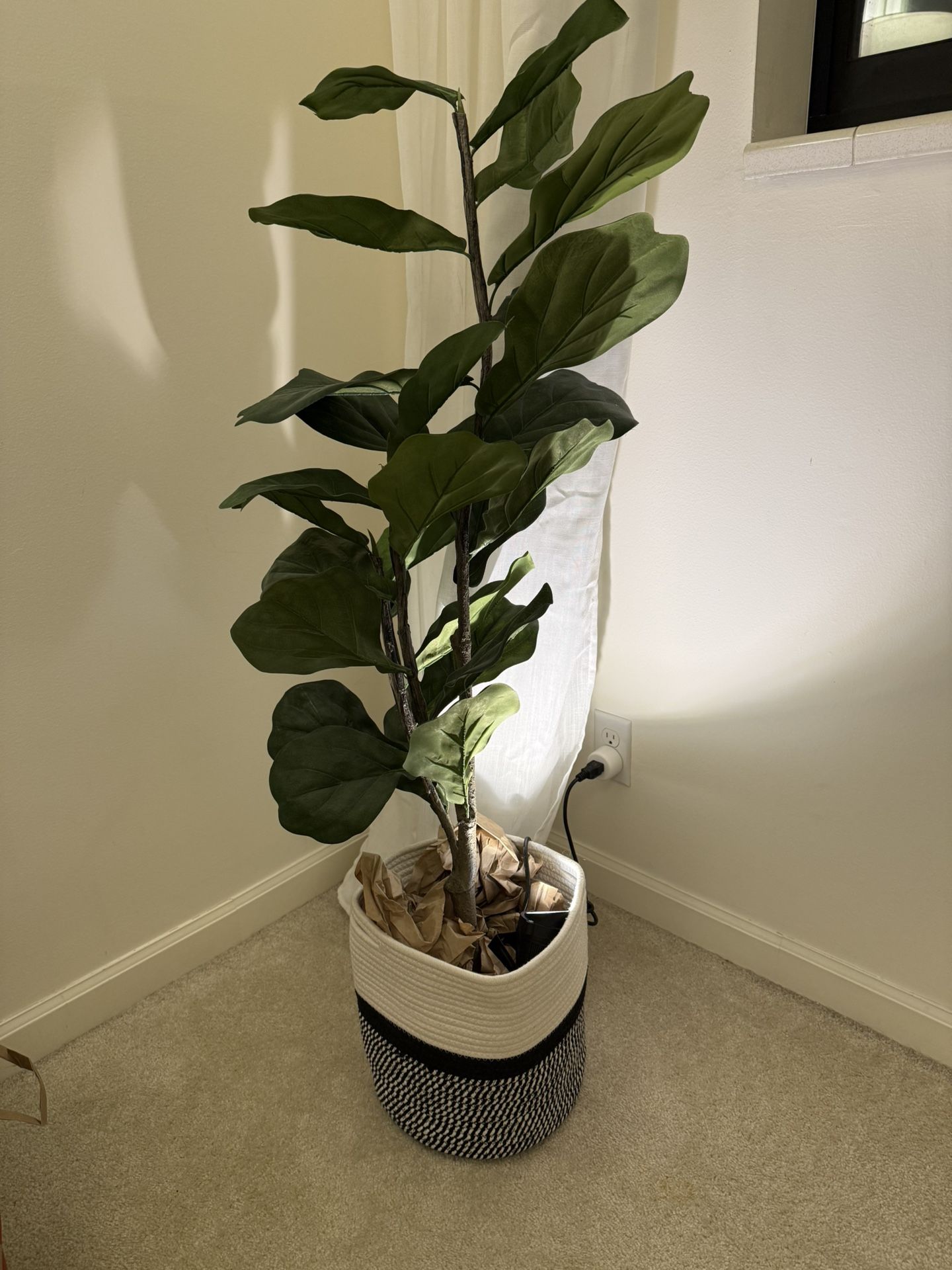 Faux Fig Leaf Plant