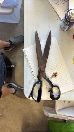 Vintage shears