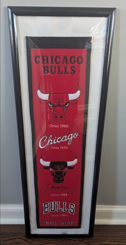 Chicago bulls banners
