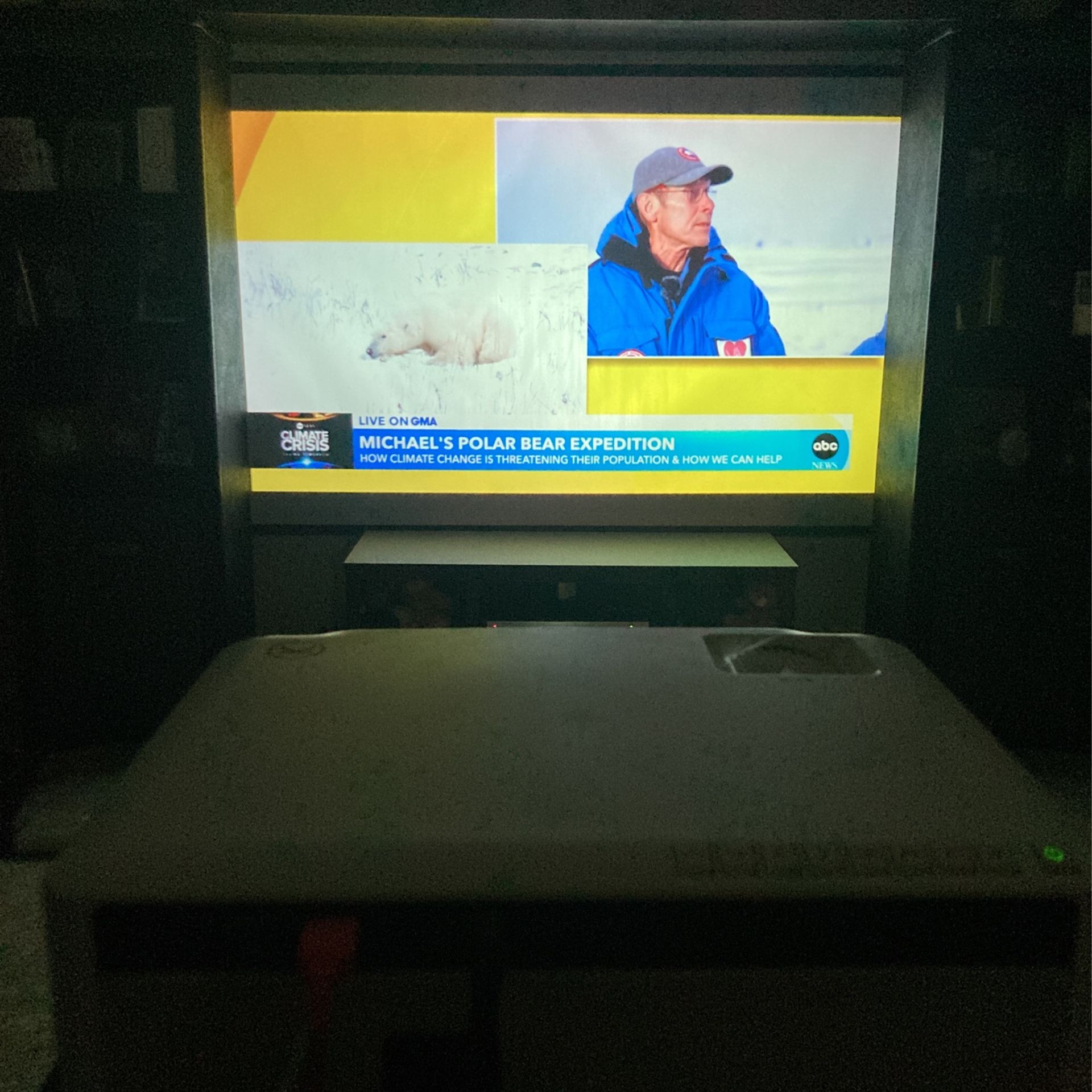 Vankyo 300” Projector