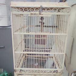 Bird / Parrot Cage