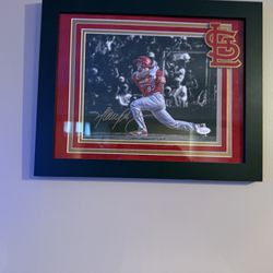 Harrison Bader Signed Cardinals Framed Photo