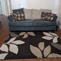 $100, Cash Only .Just Sofa With Free Rug .