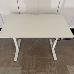 ErGear Electric Standing Desk