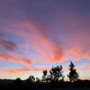 Temecula Sales