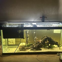 Fluval Filter AC110 And Aquaclear 110
