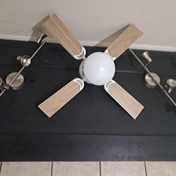 Track lighting and fan