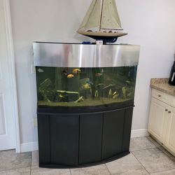 Aquarium  Fish Tank