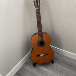 Guitar - Back Strap Case And Stand