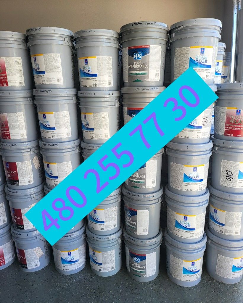Paint Interior And Primer