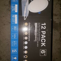 (12) 6" Recessed Led Lights