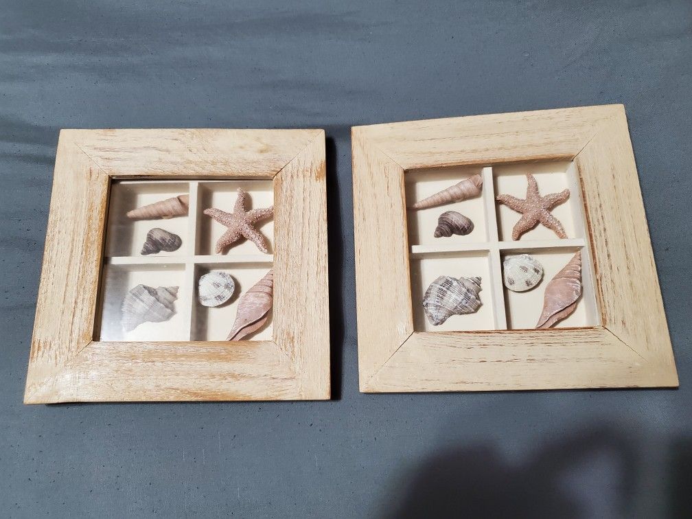 Seashell Wall Decorations