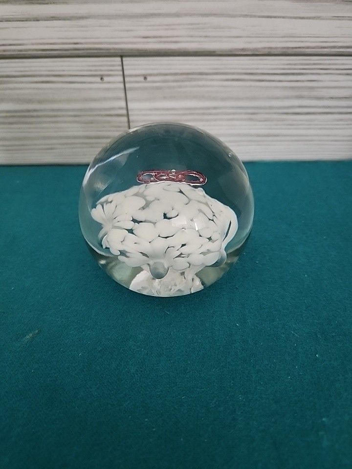 Joe Zimmerman Paperweight - GLOWS