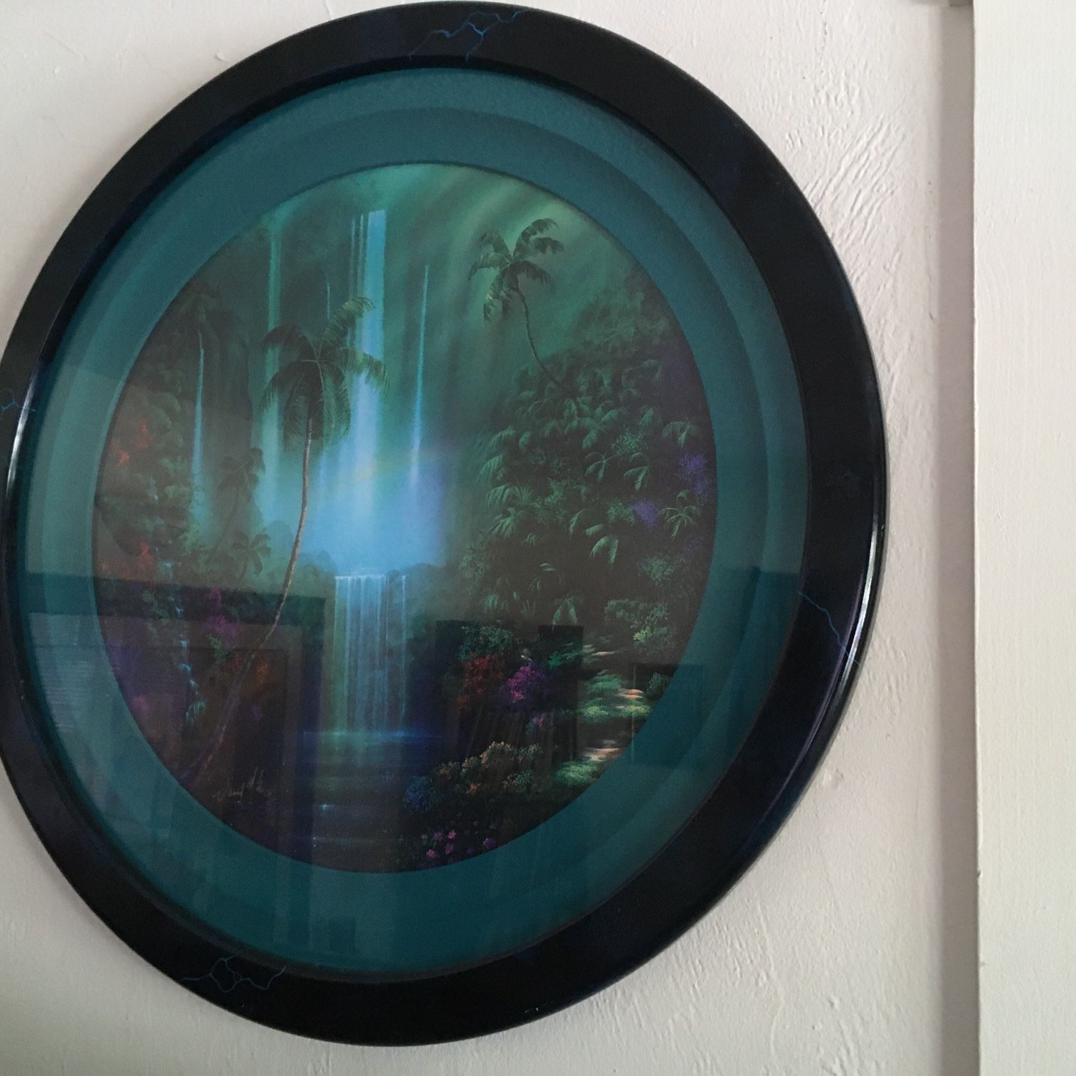 David Miller VIVID SPLENDOR 額装アート A David Miller tropical splendor print in round frame measures 29