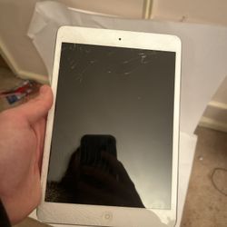 iPad Mini 4 15g Storage 2017