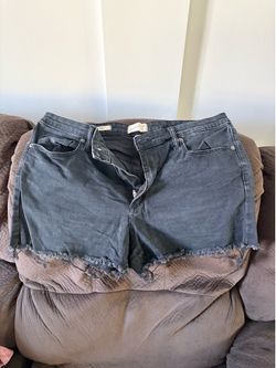 Universal Thread Shorts size 16/33R