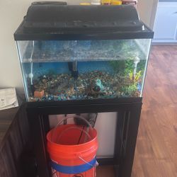 Fish Tank