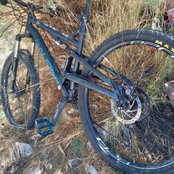 Raleigh Kodiak 2017