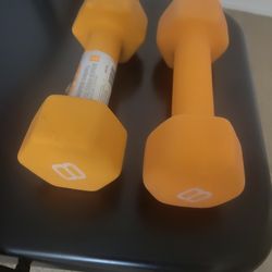 8 Lb Dumbell Pair