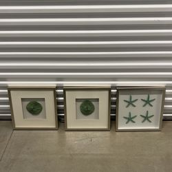 Coastal Decor