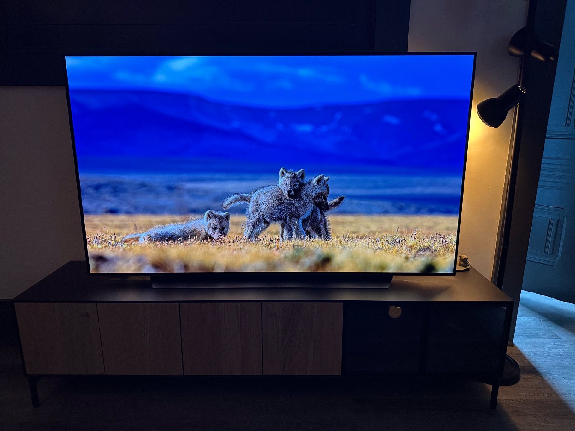 LG C1 65” - Great Condition