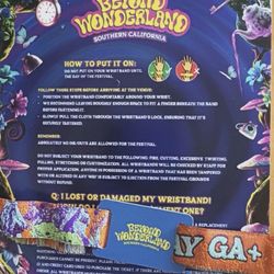Beyond wonderland Ticket