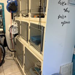 Dog grooming, cages