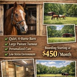 Horse Boarding
