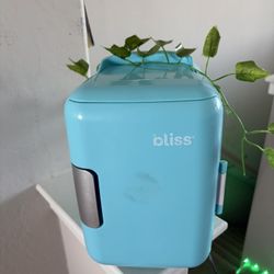 Bliss Beauty Mini Fridge 