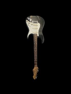 peavy guitar, fender case,