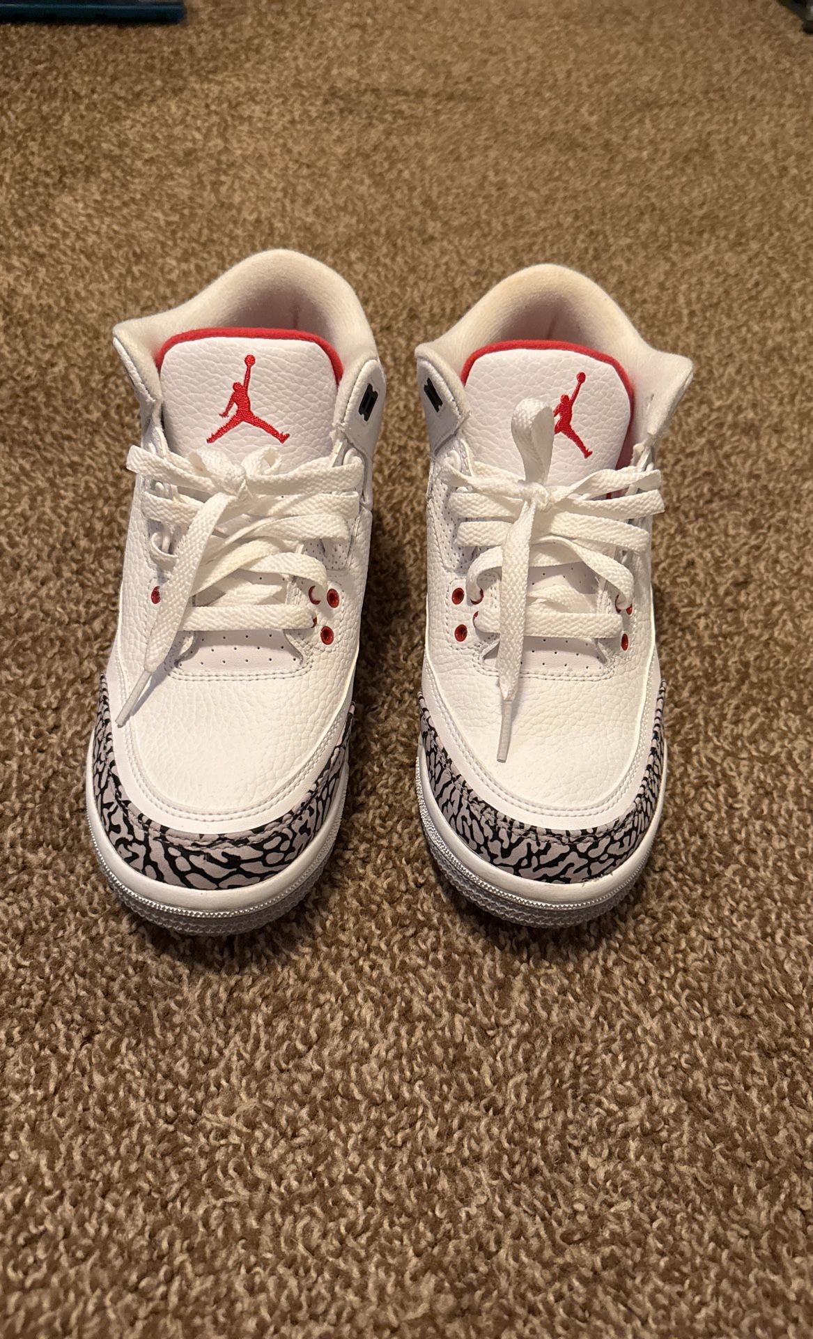 Jordan 3 hall of fame