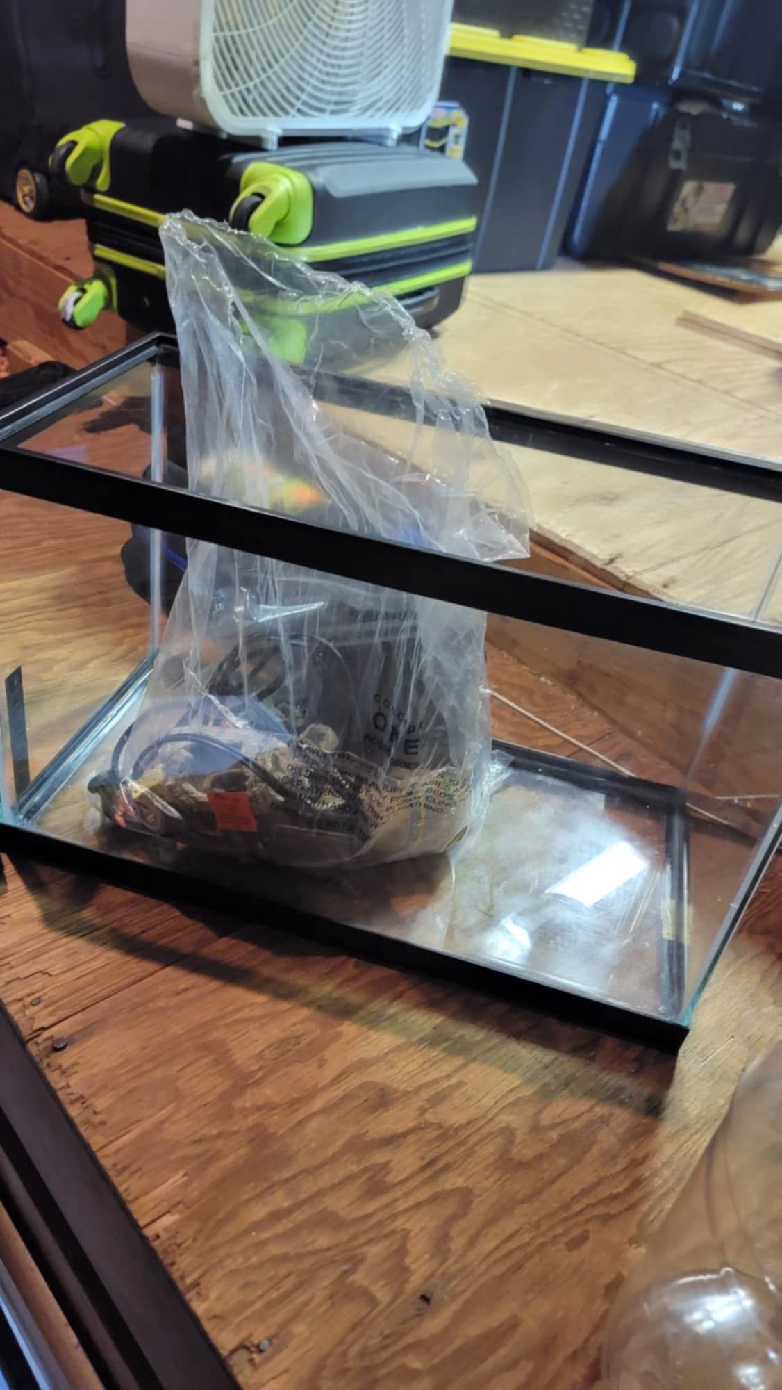 10 Gallon Aquarium