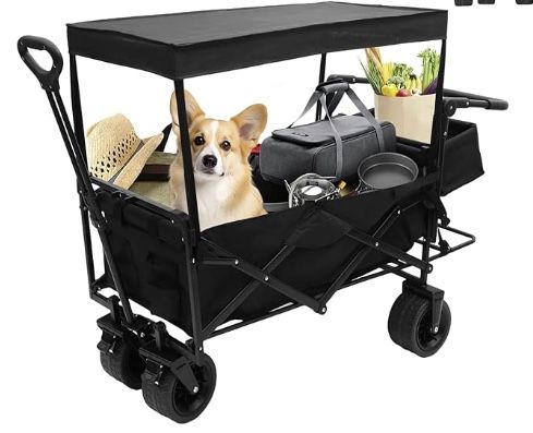 Wagon With Canopy/ Sit Belt