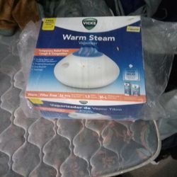 Vicks Warm Steam