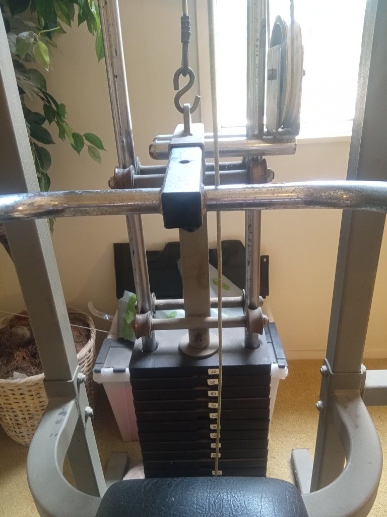 Home Gym Universal Weight Set Details