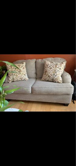 Lightly used couch with 2 throw pillows