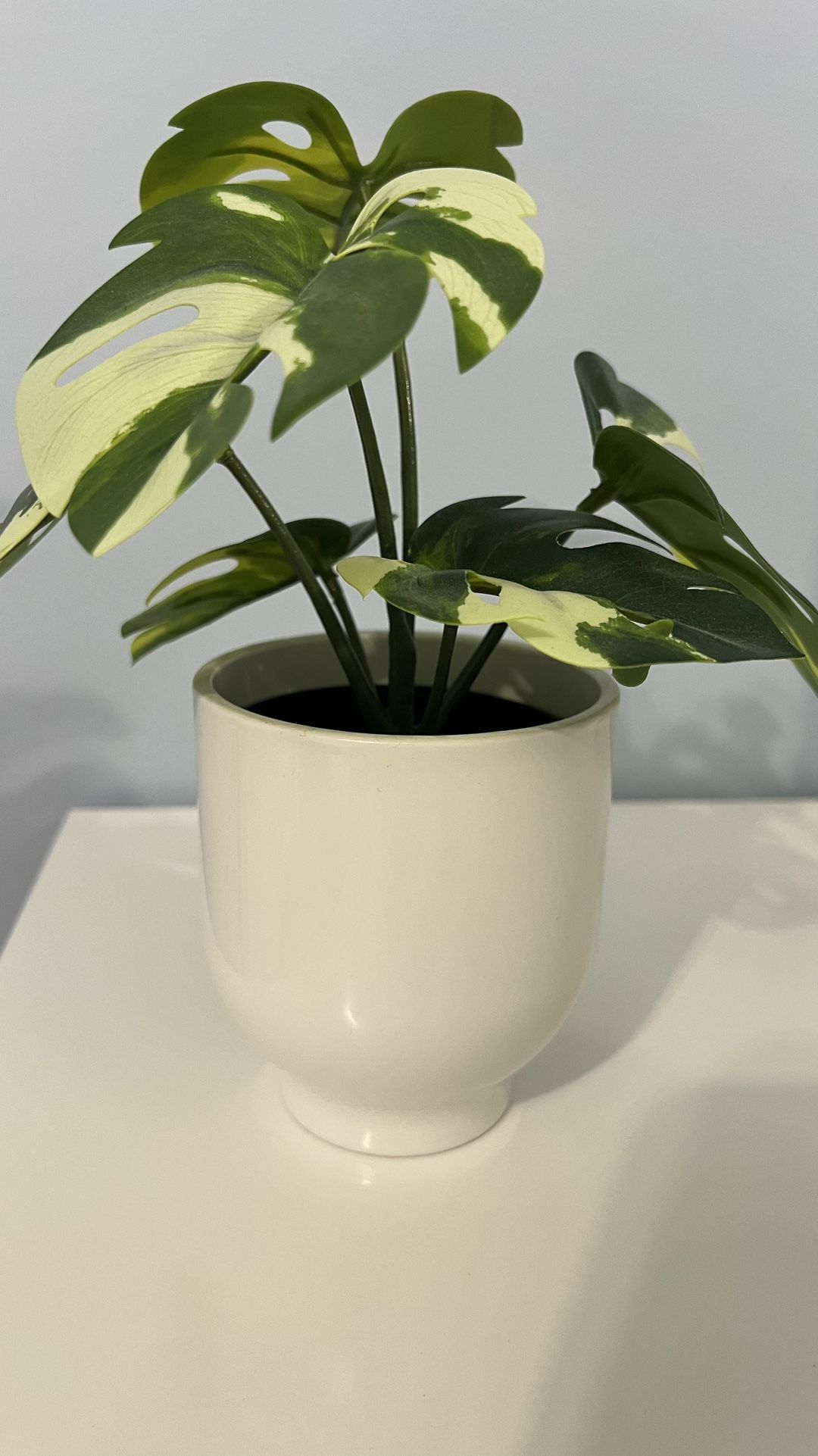 IKEA Flower And Pots 