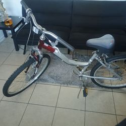 Bicicleta/ Bike
